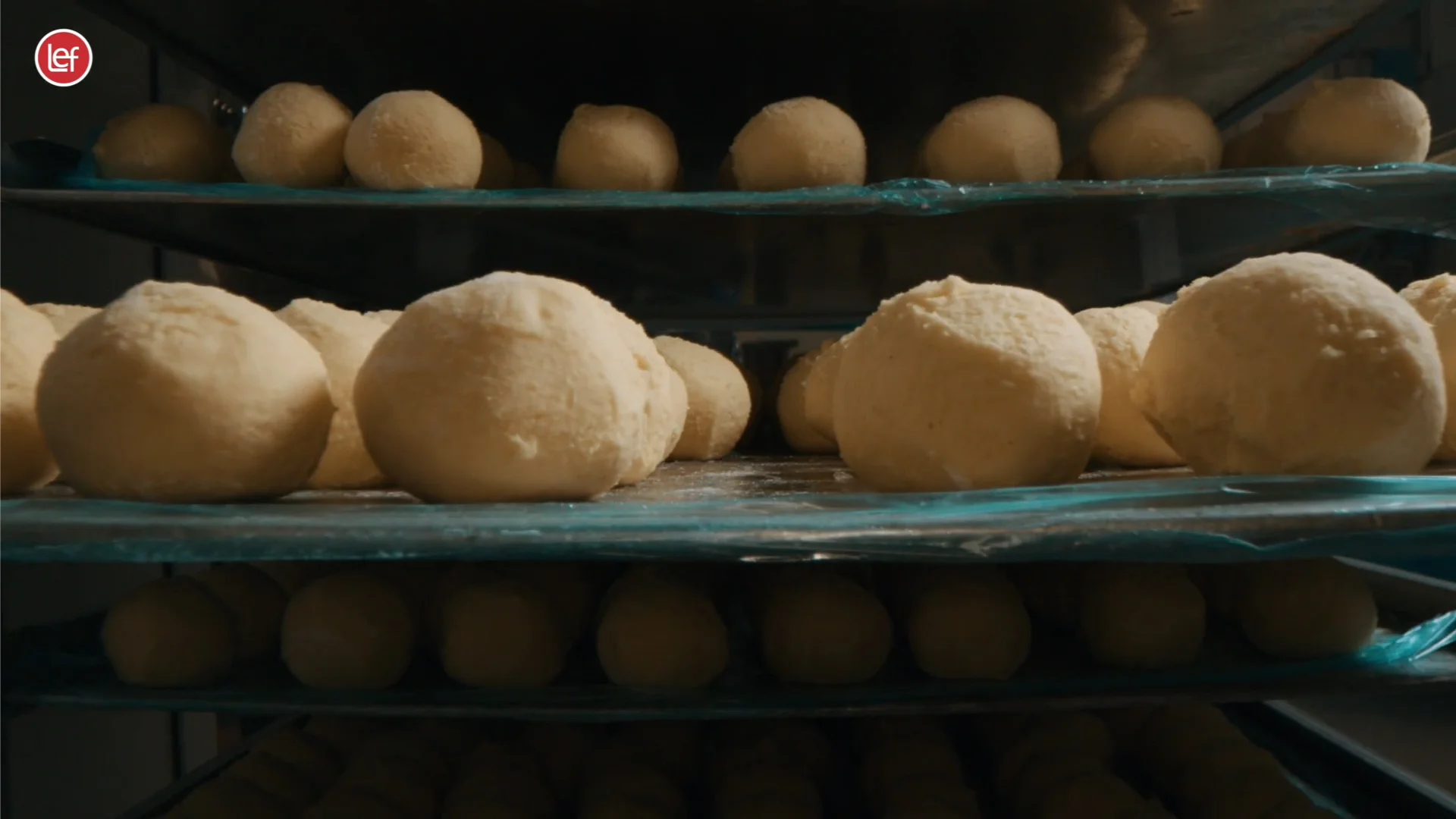 Výroba knedlíkov a ciest LEF